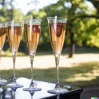 2023 Guide to Popular Wedding Drinks